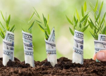 Emissão de cooperativas e agritechs impulsiona o CRA Verde