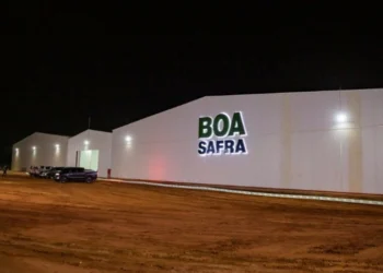 O Boa Safra (SOJA3) autoriza a recompra de até 2,76 milhões de ações