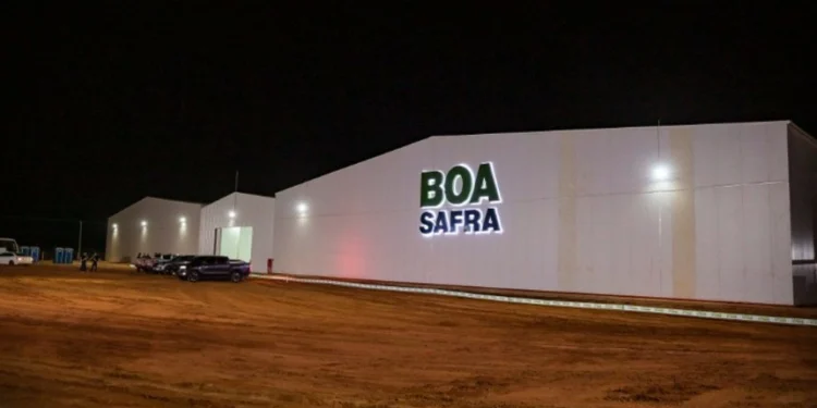 O Boa Safra (SOJA3) autoriza a recompra de até 2,76 milhões de ações