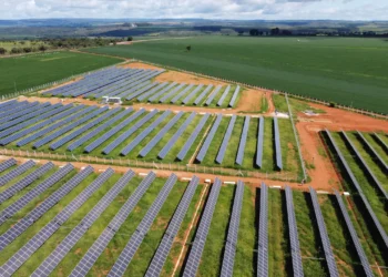 Para fornecer energia eficiente, a Matrix Energia adquire R$ 100 milhões em debêntures ambientais