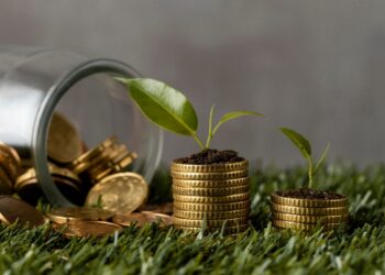 Primeiro leilão de linha de crédito para economia verde será realizado pelo Tesouro