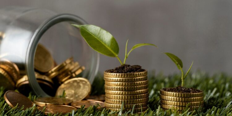 Primeiro leilão de linha de crédito para economia verde será realizado pelo Tesouro