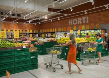 Que fatores explicam a força dos supermercados regionais do Ceará?
