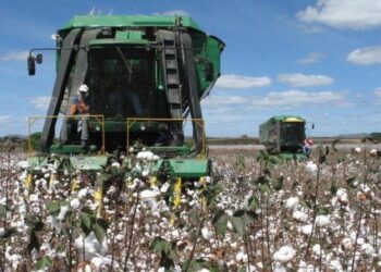 Grupo de Mato Grosso já chegou ao Cariri em Algodão do Ceará