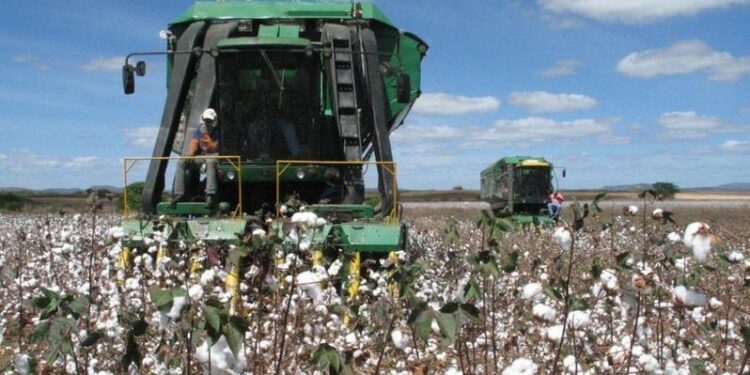 Grupo de Mato Grosso já chegou ao Cariri em Algodão do Ceará