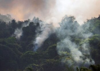 A agricultura brasileira recebe um sinal de alerta de seca e incêndios
