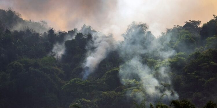 A agricultura brasileira recebe um sinal de alerta de seca e incêndios