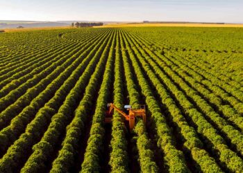 Fiagros: A crise da Agrogalaxy eleva o volume de negociações e derruba as cotações