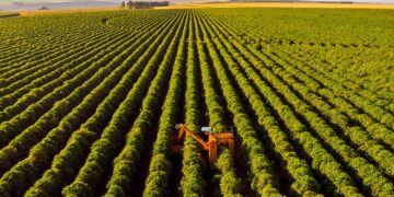 Fiagros: A crise da Agrogalaxy eleva o volume de negociações e derruba as cotações