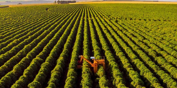 Fiagros: A crise da Agrogalaxy eleva o volume de negociações e derruba as cotações