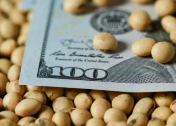Os preços da soja no Brasil caem devido à queda do dólar e de Chicago