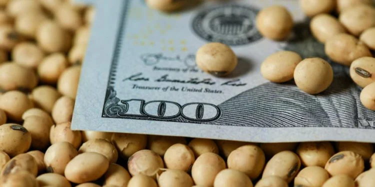 Os preços da soja no Brasil caem devido à queda do dólar e de Chicago