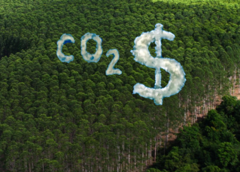 As emissões são reduzidas pelo preço do carbono, não pelos mercados