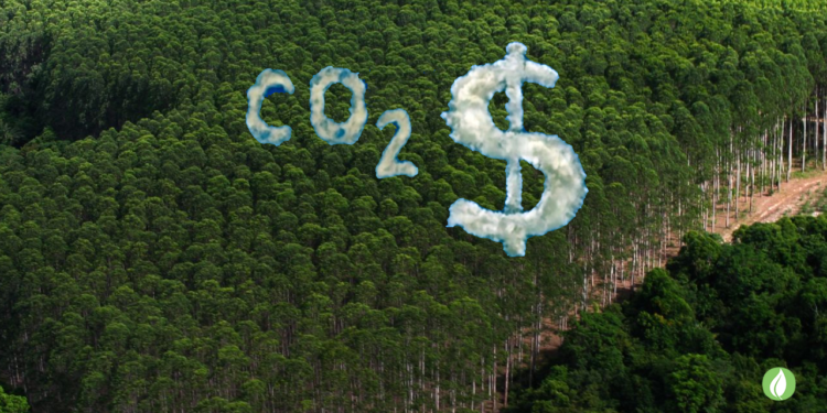 As emissões são reduzidas pelo preço do carbono, não pelos mercados
