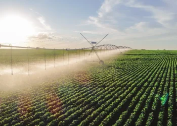 Proposta de uso de energia sustentável na irrigação é apresentada pelo Ceará