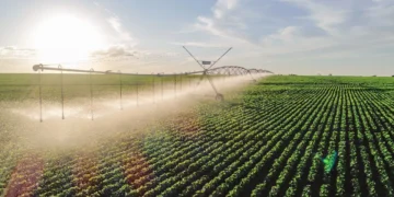 Proposta de uso de energia sustentável na irrigação é apresentada pelo Ceará