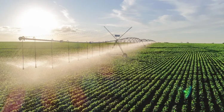 Proposta de uso de energia sustentável na irrigação é apresentada pelo Ceará