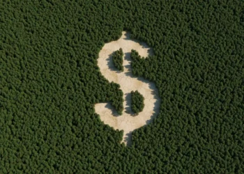 COP29 espera uma nova queda no orçamento