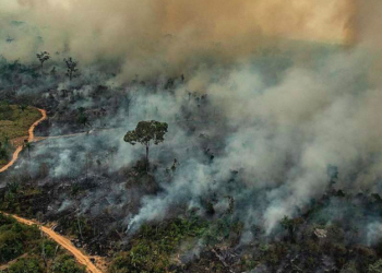 As razões pelas quais as queimadas no Cerrado representam uma ameaça à segurança hídrica