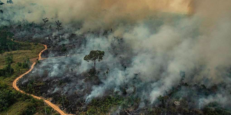 As razões pelas quais as queimadas no Cerrado representam uma ameaça à segurança hídrica
