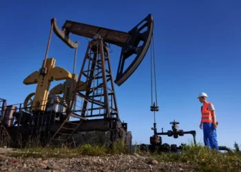 Brava Energia (BRAV3): As ações caem 10% devido à interrupção da produção