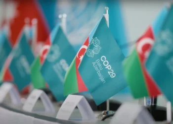 Compreenda a importância do financiamento climático na COP29