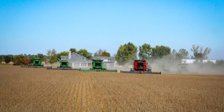 Entenda o resultado do BBGO11 após o impacto do AgroGalaxy na carteira