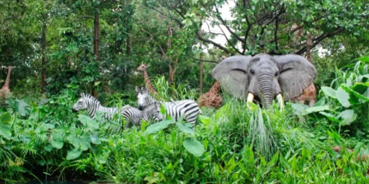 COP16: sete nações confirmam US$ 163 milhões para o Fundo Global para a Biodiversidade