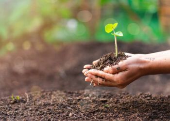 O Brasil promove práticas sustentáveis com o objetivo de impulsionar a internacionalização de empresas