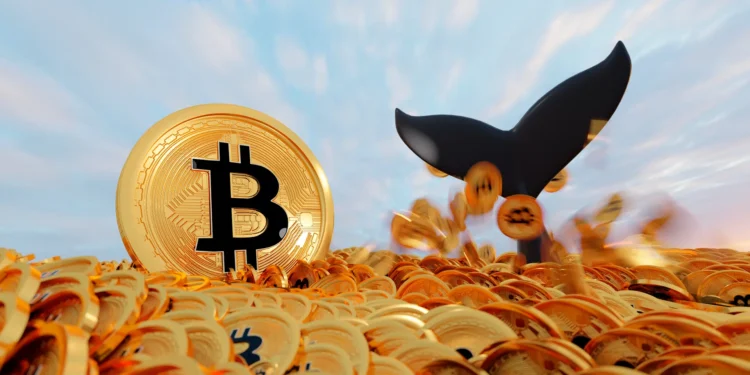 Baleia de 53 milhões de dólares: Carteira de Bitcoin (BTC) realiza transações após 12 anos inativa