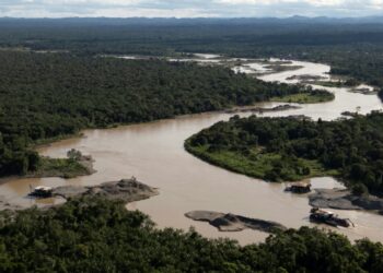 Apenas alguns países apresentaram estratégias para salvaguardar o meio ambiente antes da COP16 (ONU)