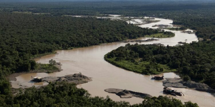 Apenas alguns países apresentaram estratégias para salvaguardar o meio ambiente antes da COP16 (ONU)