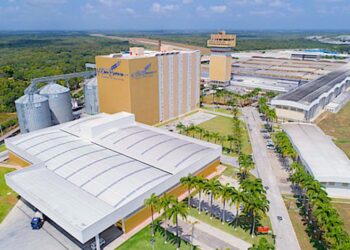 M. Dias Branco aposta na ciência de dados para aperfeiçoar suas operações