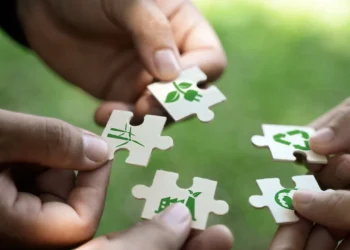 Brasil cria plataforma de investimentos para acelerar a transição para a sustentabilidade e procura projetos sustentáveis