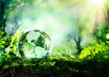 Bonds de biodiversidade: Colômbia apresenta uma estratégia de financiamento para os ecossistemas