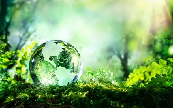 Bonds de biodiversidade: Colômbia apresenta uma estratégia de financiamento para os ecossistemas