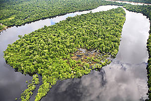A COP16 inicia-se nesta segunda-feira, na Colômbia. Qual é o jogo?