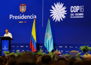 Brasil e Colômbia estabelecem parceria financeira contra o racismo ambiental durante a COP16