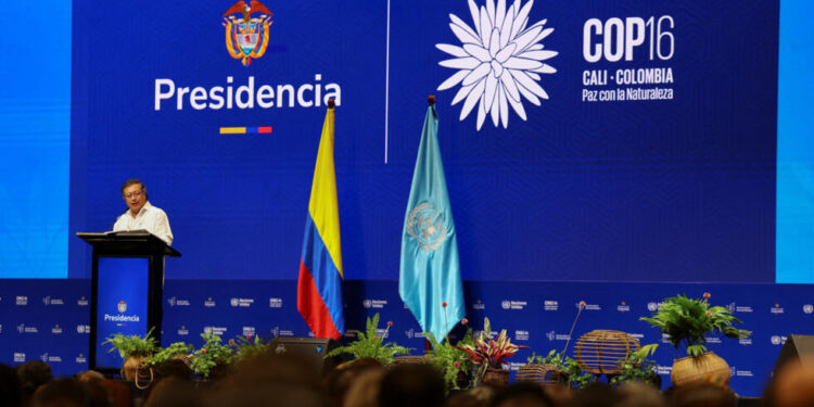 Brasil e Colômbia estabelecem parceria financeira contra o racismo ambiental durante a COP16
