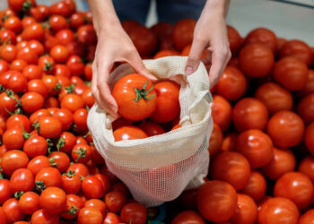 No Ceará, o investimento e a produção de tomate aumentou quase 4%