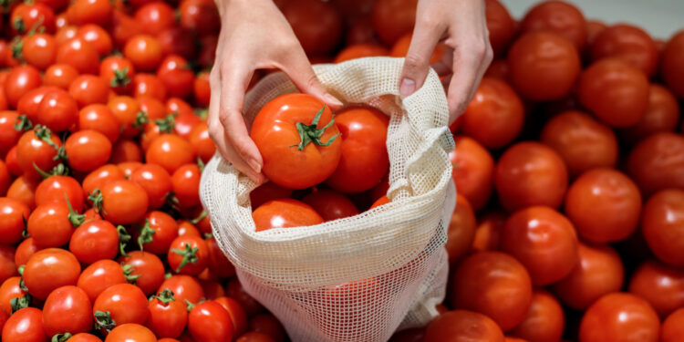 No Ceará, o investimento e a produção de tomate aumentou quase 4%