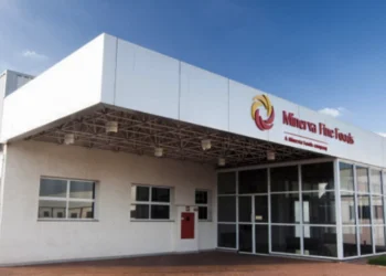 O lucro da Minerva (BEEF3) teve uma queda de 33,3% no terceiro trimestre