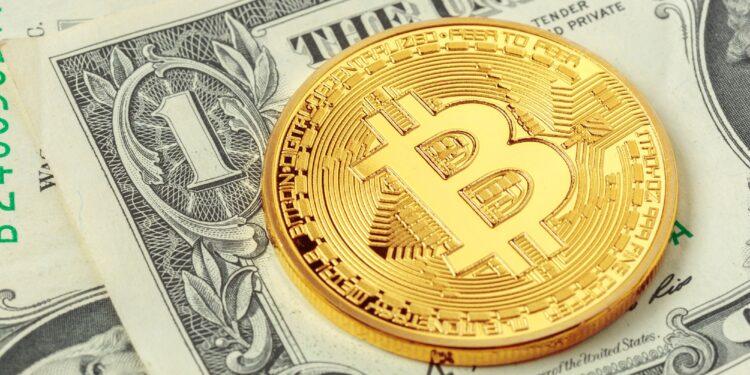 Bitcoin, ações internacionais e ouro são os destaques do ano, enquanto o CDI está bem distante