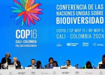 A COP16 é interrompida sem definições claras sobre financiamento e monitoramento de objetivos