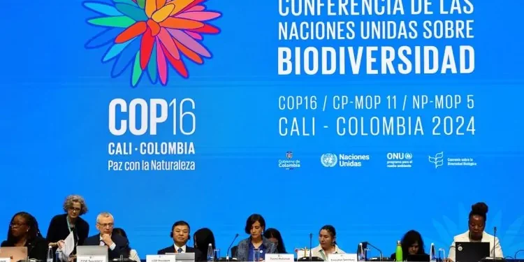 A COP16 é interrompida sem definições claras sobre financiamento e monitoramento de objetivos