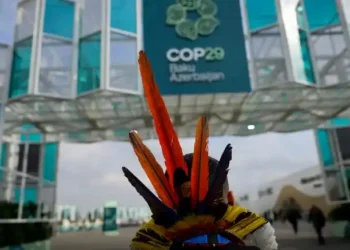 COP29: Reino Unido, Colômbia e Nova Zelândia se juntam à aliança para banir os combustíveis fósseis