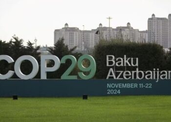 O primeiro dia da COP29 marcou um avanço significativo no mercado de caborno