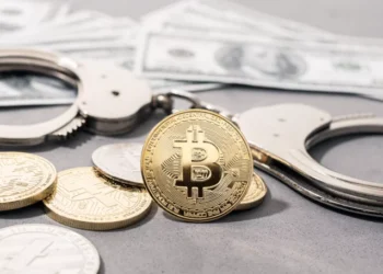 Conforme o momento do mercado se intensifica, a procura de investidores individuais por Bitcoin alcança o seu pico de 52 meses: CryptoQuant
