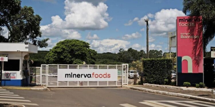 Minerva (BEEF3): Goldman Sachs diminui a meta, mas sinaliza ‘compra’