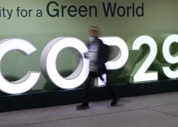 COP29: A ONU aguardava mais determinação. Confira as respostas de nações ao acordo final